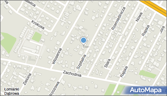1181471317, Dartaxi Dariusz Dzierzgowski 