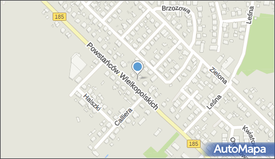 Dawid Grzegorzewski Cukiernia Dawi, Powstańców Wielkopolskich 76 64-500 - Przedsiębiorstwo, Firma, NIP: 7872077508