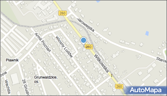 Dawid i Syn, Witkowska 92, Gniezno 62-200 - Przedsiębiorstwo, Firma, NIP: 7841806917