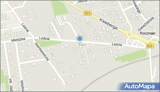 Dawid Piątek, Leśna 13, Lubartów 21-100 - Przedsiębiorstwo, Firma, NIP: 7142048693