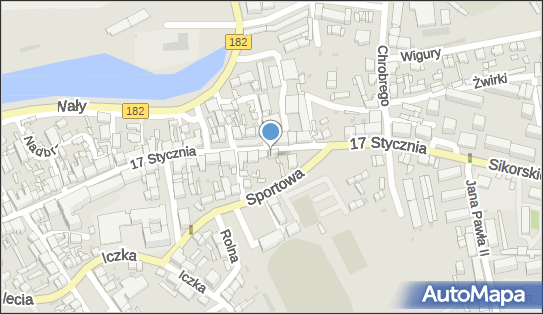Dawid Szpotkowski Auto Tajle, 17 Stycznia 118, Międzychód 64-400 - Przedsiębiorstwo, Firma, NIP: 5951444928