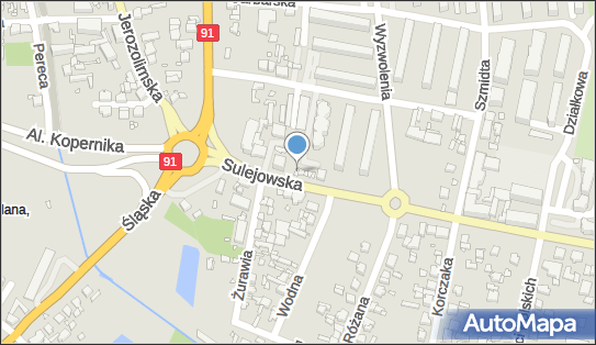 Dawidek, Sulejowska 9, Piotrków Trybunalski 97-300 - Przedsiębiorstwo, Firma, NIP: 7712271673