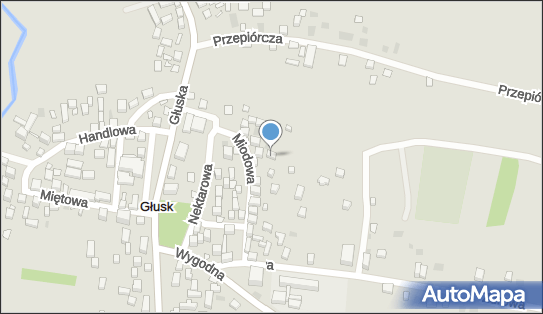 5391161660, Elpir Piotr Dejneka 