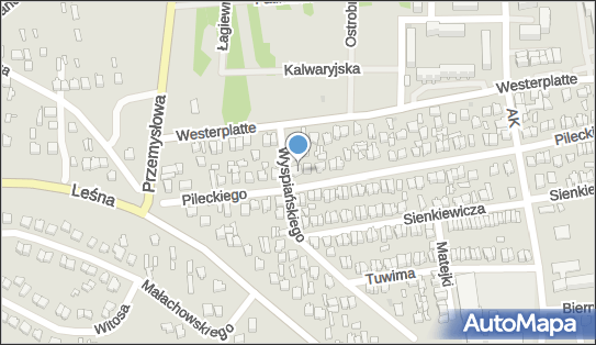 Deka Jan Laboratoryjna Protetyka Stomatologiczna, Armii Ludowej 86 26-300 - Przedsiębiorstwo, Firma, NIP: 7681326828