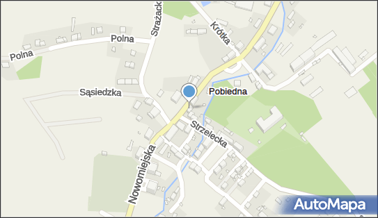 6131416715, Delikatesy Spożywczo-Przemysłowe Przemysław Włodarczyk 