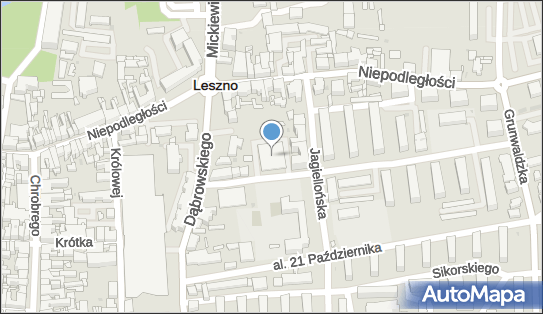 Demon, Prochownia 1, Leszno 64-100 - Przedsiębiorstwo, Firma, numer telefonu, NIP: 6971857930