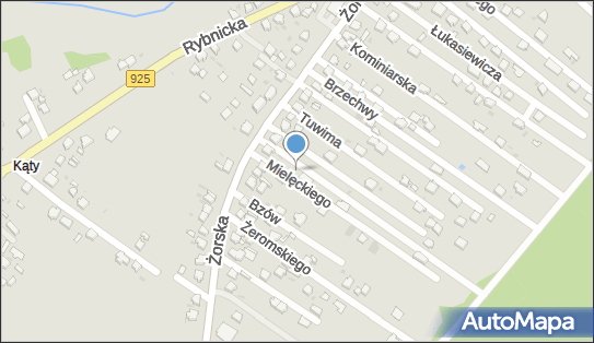 DenIT Paweł Pastuszka, ul. Bzów 1, Orzesze 43-180 - Przedsiębiorstwo, Firma, NIP: 6351781049