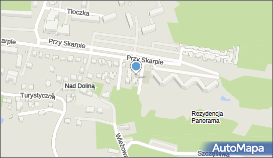 Dentalexcellent Okulewicz, ul. Przy Skarpie 56, Toruń 87-100 - Przedsiębiorstwo, Firma, numer telefonu, NIP: 8791482263