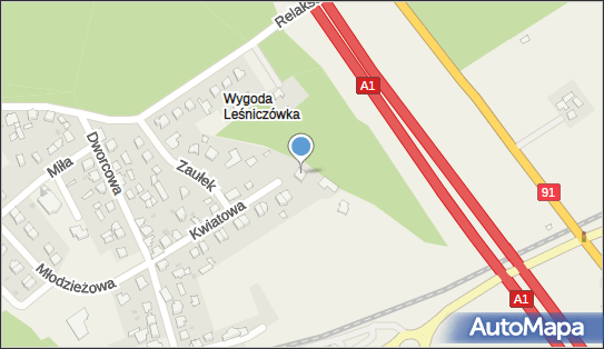 Detaliczna Sprzedaż Firan Wystrój Okien Handel Obwoźny, Odolion 87-700 - Przedsiębiorstwo, Firma, NIP: 8911000581