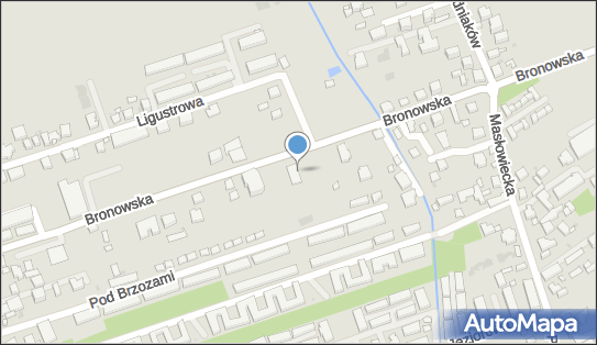 Diament Service, Bronowska 24, Warszawa 03-995 - Przedsiębiorstwo, Firma, godziny otwarcia, numer telefonu