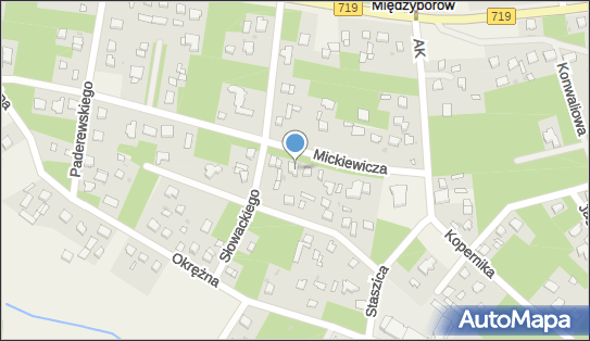 5291624876, Diament Tomasz Guzewski 