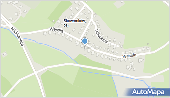 Diana Rawdanowicz, ul. Wesoła 30, Jelenia Góra 58-500 - Przedsiębiorstwo, Firma, NIP: 8981483314