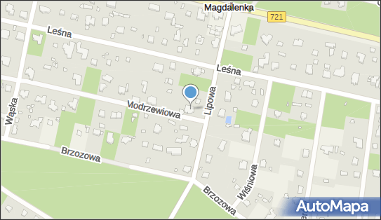 1230000955, Diesendorf-Krause Oliwia Firma 