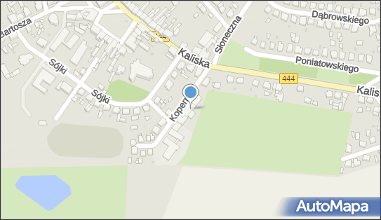 Dik J Opielewicz, Kopernika Mikołaja 3, Odolanów 63-430 - Przedsiębiorstwo, Firma, numer telefonu, NIP: 6222702941