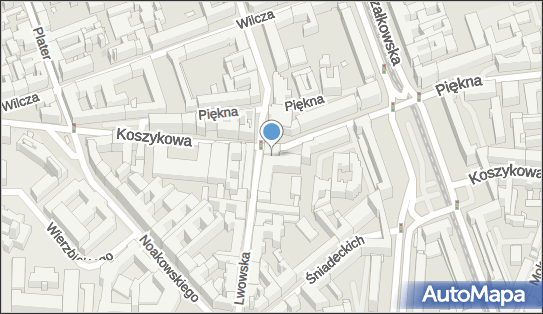 Disegno Architekci, Koszykowa 55, Warszawa 00-659 - Przedsiębiorstwo, Firma, NIP: 9521963680