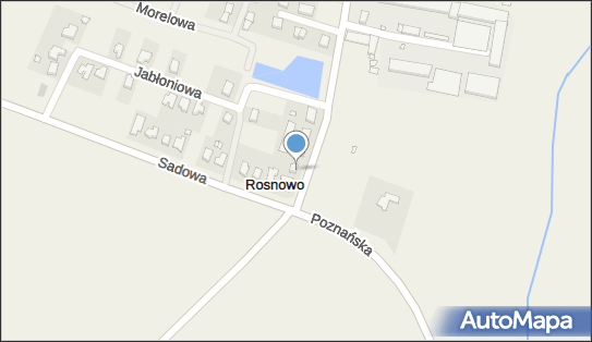 6171569460, Dixon Marcin Pacholski 