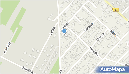 DMS Remont Dominik Telestak, ul. Leonida Teligi 36, Andrespol 95-020 - Przedsiębiorstwo, Firma, NIP: 7281726777