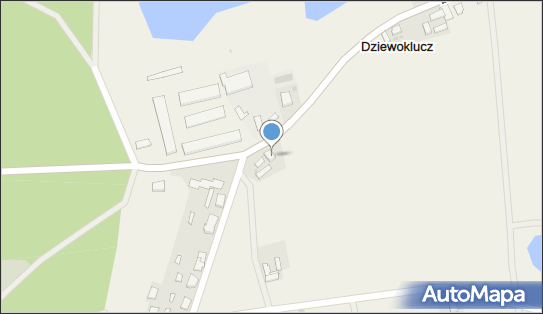 Dobra Chata Bartłomiej Walczak, Dziewoklucz 14, Dziewoklucz 64-840 - Przedsiębiorstwo, Firma, NIP: 6070043897