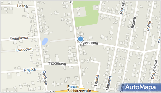 250766895, Firma Usługowa 