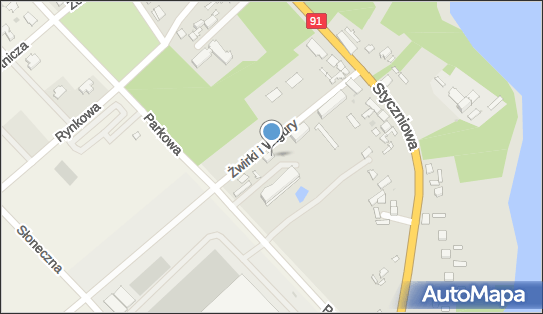 Dom Dziecka w Lubieniu Kujawskim, ul. Żwirki i Wigury 4B 87-840 - Przedsiębiorstwo, Firma, numer telefonu, NIP: 8881521699