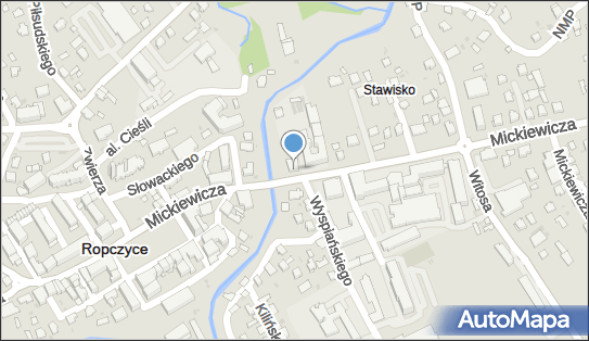 8181510972, Dom Dziennego Pobytu Emerytów, Rencistów i Osób Samotnych w Ropczycach 