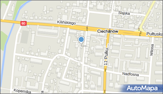 Dom Handlowy A i G Rynkowscy, Warszawska 12, Ciechanów 06-400 - Przedsiębiorstwo, Firma, NIP: 5661063885