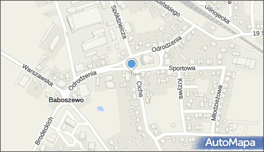 Dom Handlowy Bajkowscy Marzenna i Wiesław, Odrodzenia 6, Baboszewo 09-130 - Przedsiębiorstwo, Firma, numer telefonu, NIP: 5670005195