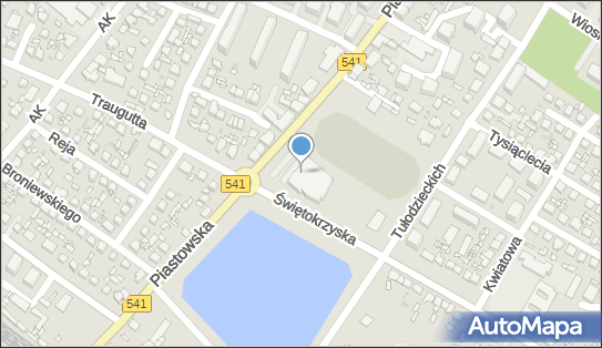 Dom Kultury w Sierpcu, Piastowska 39, Sierpc 09-200 - Przedsiębiorstwo, Firma, numer telefonu, NIP: 7761356435