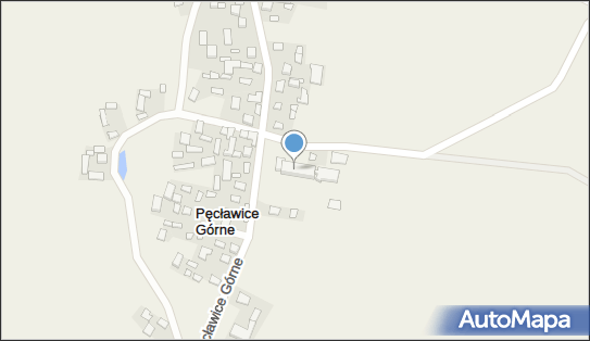 Dom Pomocy Społecznej w Pęcławicach Górnych, Pęcławice Górne 23 28-210 - Przedsiębiorstwo, Firma, numer telefonu, NIP: 8661733531