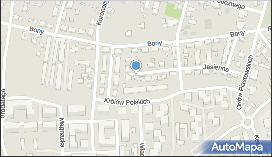 Dom Tizzu, Jesienna 39, Warszawa 02-496 - Przedsiębiorstwo, Firma, NIP: 5222592966