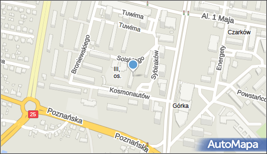 Doman Przedsiębiorstwo Handlowo Usługowe, Sybiraków 4, Konin 62-510 - Przedsiębiorstwo, Firma, NIP: 6652155080