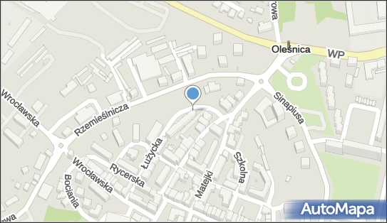 Domańska Litwińczuk Moving Service, Łużycka 11, Oleśnica 56-400 - Przedsiębiorstwo, Firma, NIP: 9111905513