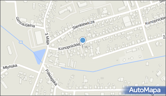 300814880, Domin-Trans Dominiak Arkadiusz 