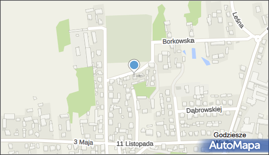 Dominik Balcerzyk, Plac Targowy 1, Godziesze Wielkie 62-872 - Przedsiębiorstwo, Firma, NIP: 9680604887