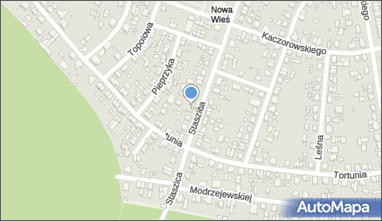 Dominik Krajewski PHU DK Garden, ul. Stanisława Staszica 38 62-020 - Przedsiębiorstwo, Firma, NIP: 7772580024