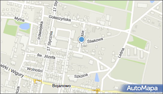 Dominik Kruger Transpol, ul. Zacisze 2, Bojanowo 63-940 - Przedsiębiorstwo, Firma, NIP: 6991738393