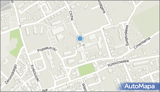 Dominik Skrzynecki S.D.System, ul. Cicha 5, Dębica 39-200 - Przedsiębiorstwo, Firma, NIP: 8721904440