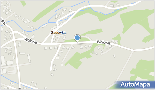 Dominika Brzeżańska Studnia Zdrowia, Wołowa 23, Tuchów 33-170 - Przedsiębiorstwo, Firma, NIP: 6771511575