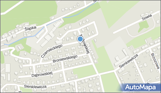 Domowe Usługi Ogólnobudowlane, ul. Stefana Czarnieckiego 16 57-300 - Przedsiębiorstwo, Firma, NIP: 8831043565