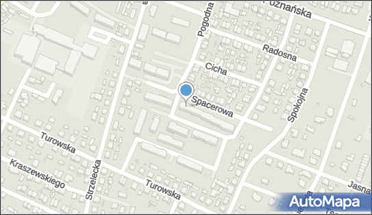 Domowy Ubój Zwierząt Nowicki Dariusz, Spacerowa 4, Pniewy 62-045 - Przedsiębiorstwo, Firma, NIP: 7871100033