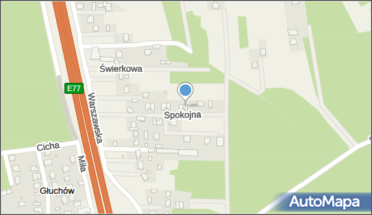 Dora Fruits, ul. Spokojna 13, Głuchów 05-600 - Przedsiębiorstwo, Firma, NIP: 7962966258