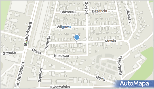8951142198, Doradztwo Biznesowe Lang Bronisław 