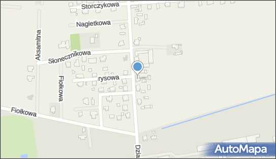 6681706217, Górska Joanna Doradztwo Finansowe, Asia Transport 