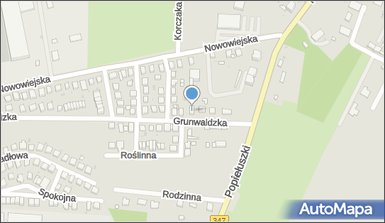 9131107312, Ryszard Dudziec Doradztwo i Szkolenia BHP 