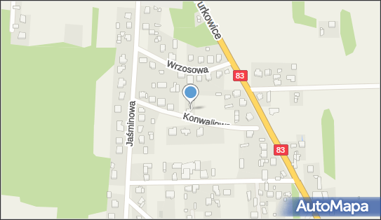 Doradztwo i Usługi z Zakresu BHP i Prawa Pracy, Konwaliowa 10 62-700 - Przedsiębiorstwo, Firma, numer telefonu, NIP: 6681298965