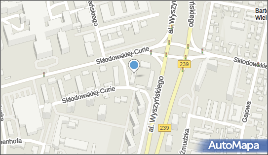 5541430128, Doradztwo Organizacji Zarządzania i Wdrożen Syst.Koputer.Fladrowska Emilia 