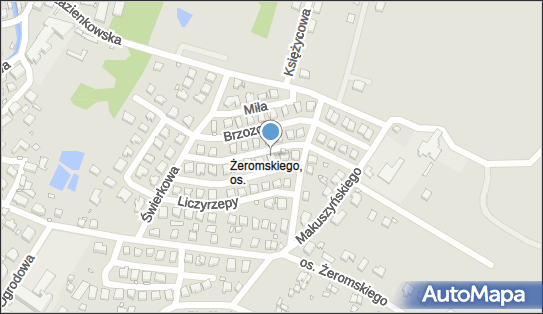 6112117503, Doradztwo Przemysłowo-Gospodarcze Paweł Staworzyński 