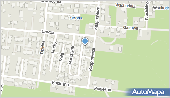 9521482124, Doradztwo Paweł Zieliński 