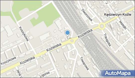 Dorau Praktyka Lekarska, ul. Kozielska 4, Kędzierzyn-Koźle 47-224 - Przedsiębiorstwo, Firma, numer telefonu, NIP: 7491558903