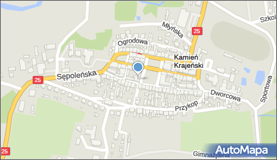 5550009316, Dorawa Mirosław Produkcja-Handel-Usługi 